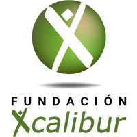 Fundación Xcalibur logo - Similar company to Xcalibur Smart Mapping