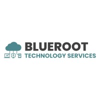BLUEROOT TECHNOLOGY SERVICES Ltd logo - Similar company to Tech Origin,Inc