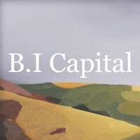 B.I Capital logo - Similar company to Bicapital