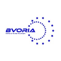 BVORIA KİMYA İÇ VE DIŞ TİCARET LİMİTED ŞİRKETİ logo - Similar company to Karadağ Boya