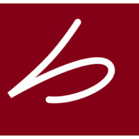 Budasis logo - Similar company to Visa And Go