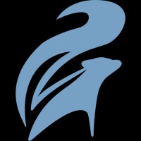 SKFL logo - Similar company to Pcis