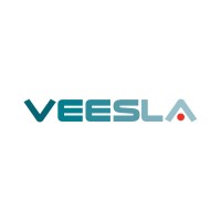 VEESLA logo - Similar company to Baltsolar
