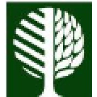 Matson Lumber Company