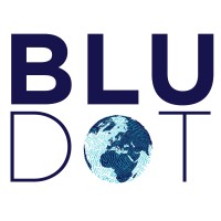 Blu Dot Advisory logo - Similar company to Maanch