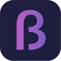 Beida logo - Similar company to Mentoring Makedonija