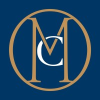 Metisse Consulting