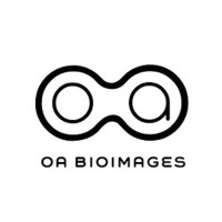 OA BioImages logo - Similar company to Bioimage