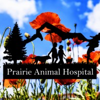 Prairie Animal Hospital - Coeur d'Alene logo - Similar company to North Idaho Real Estate
