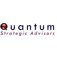 Quantum Strategic Advisors, LLC. logo - Similar company to Singleskull