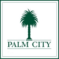 PalmCity Antalya | Premium | Modern logo - Similar company to Coast Guard