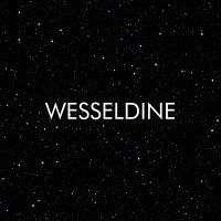 Wesseldine logo - Similar company to Brickworks Properties