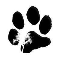 Nature N Wild Expeditions logo - Similar company to Go Wild Expeditions