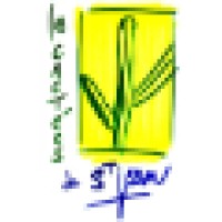 les cactées de saint jean