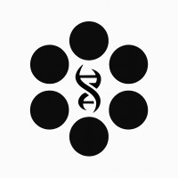 Symetron Biosciences logo - Similar company to Bgn