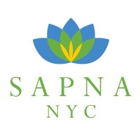 SAPNA NYC logo - Similar company to Mirsaltech