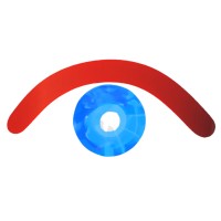 Seer Business Systems LLC logo - Similar company to Elarbridge Llc