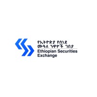 Ethiopian Securities Exchange (ESX) logo - Similar company to Ethswitch