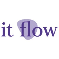 it flow logo - Similar company to Fideware