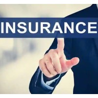 Independent Insurance Consultant