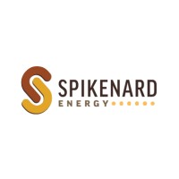 Spikenard Energy logo - Similar company to Sibanye Engineering Solutions