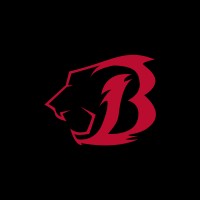 Ball Beast Academy logo - Similar company to Dominant Basketball Academy