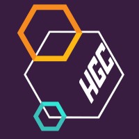 Helsinki Games Capital Ry logo - Similar company to Sinun Software Oy