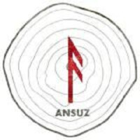 Ansuz logo - Similar company to Konsultallika