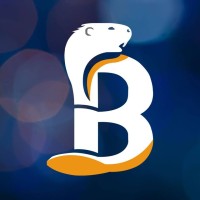 Techno Beavers logo - Similar company to Design Spartans