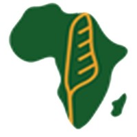 African Institute of International Law - Institut africain de droit international logo - Similar company to Ecopath Solutions