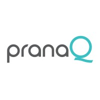 PranaQ logo - Similar company to Itm (International Trust Machines Corporation)