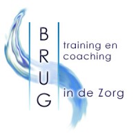 Brug Advies, Training, Coaching In De Zorg