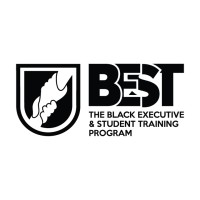 The Black Executive & Student Training Program logo - Similar company to Meshed Earth