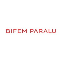 Bifem Paralu S.A.R.L logo - Similar company to Alusteel Group