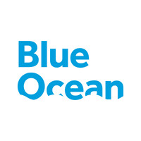 Blue Ocean CRM Inc. logo - Similar company to Skyvenn