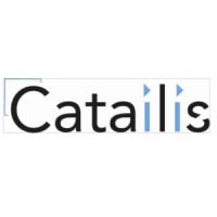 Catailis logo - Similar company to Mr Digital