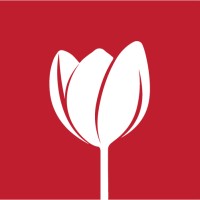 Black Tulip Marketing Studio logo - Similar company to Tryfetch