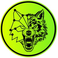 Cryptofalka logo - Similar company to Dma Ponthu Kft.