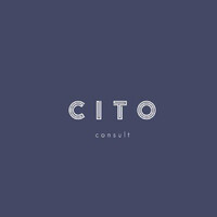 CITO Consult logo - Similar company to Ultimate Cloud Solutions