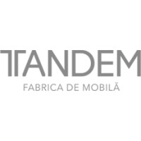 Tandem Romania logo - Similar company to Tandem