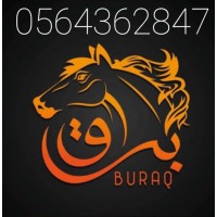 NAJM  ALBURAQ logo - Similar company to Abn Designz Studio