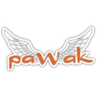 Pawak Aerospace logo - Similar company to Interagere Treinamentos & Consultoria