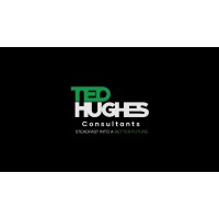 Tedhughes consultants logo - Similar company to Hiresteer