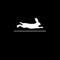 Rapid Rabbit 3D logo - Similar company to Eyetronics Media & Studios