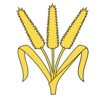 Quartierverein Hirslanden