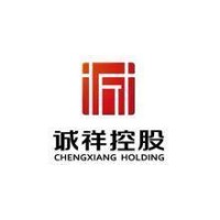 新疆诚祥控股投资有限公司