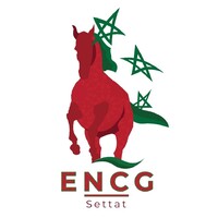 TIZI ENCG SETTAT logo - Similar company to Forum Fst-Settat Entreprises