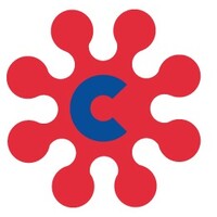 Casone S.p.A. logo - Similar company to Technesy Holding S.P.A.