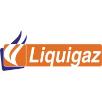 Liquigaz Philippines Corporation Group of Companies logo - Similar company to Tritek Reverse Logistics Corp