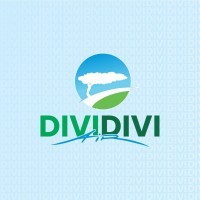 Divi Divi Air N.V. logo - Similar company to Quality Aaa Services N.V.
